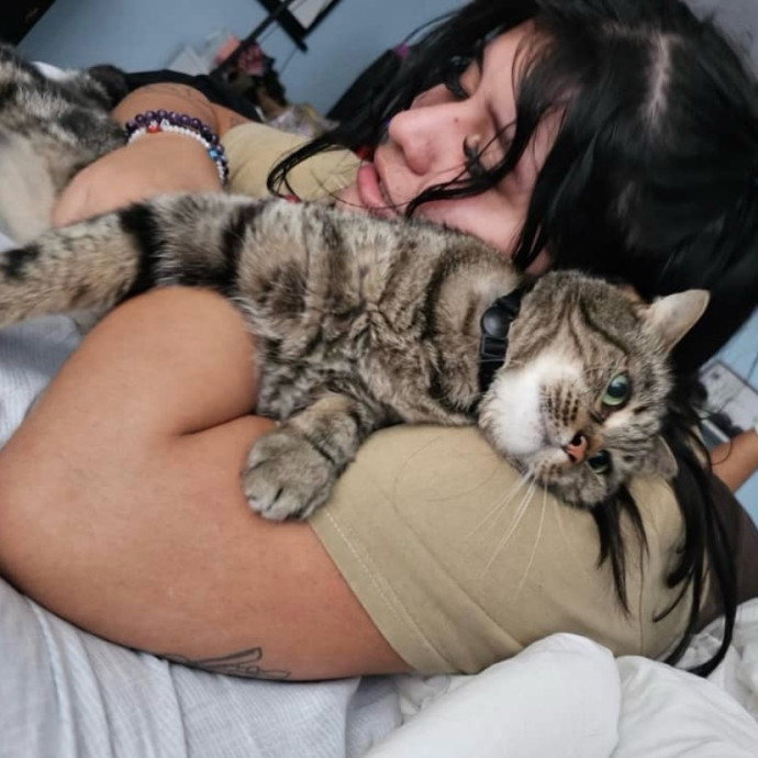 Your Cat's New Best Friend