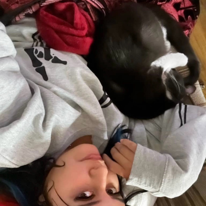 Your Cat's New Best Friend