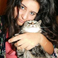 Photo #5