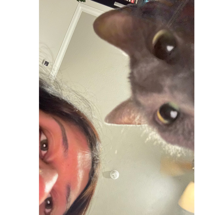 Your Cat's New Best Friend