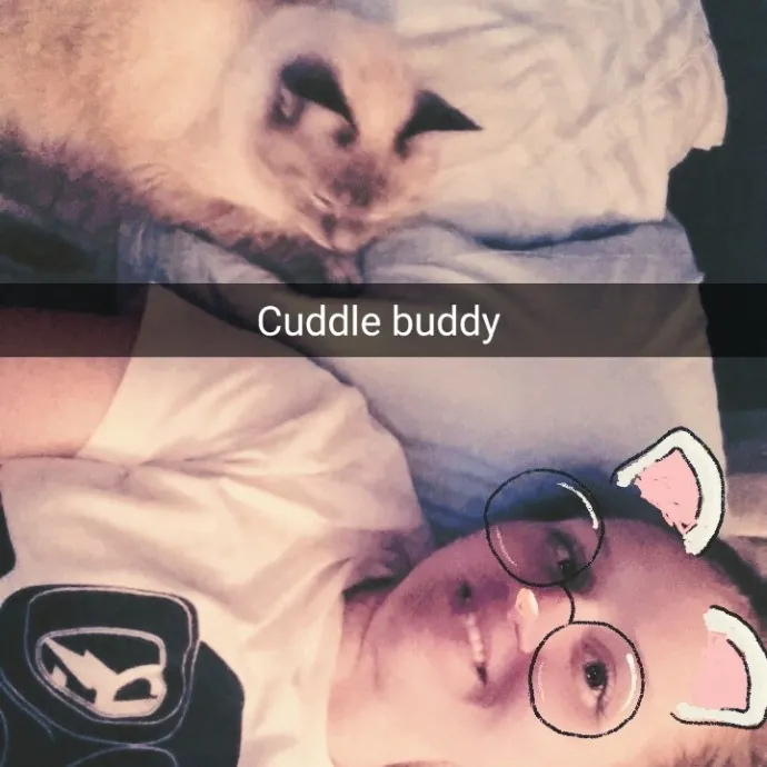 Jess' Love For Cats Sitting Service