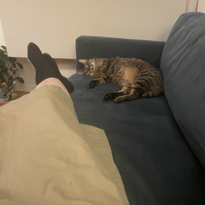 Nyc Cat Nanny