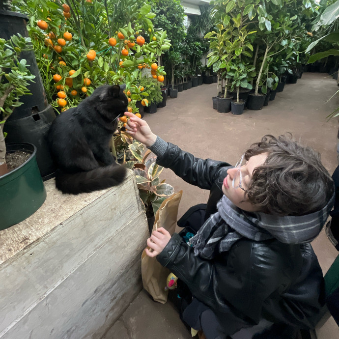 Happy Cat Care