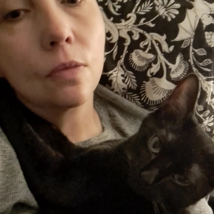 Class Act Catsitting In Northeast Denver