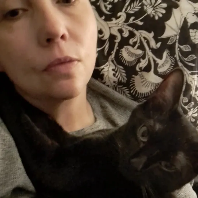 Class Act Catsitting In Ne Denver