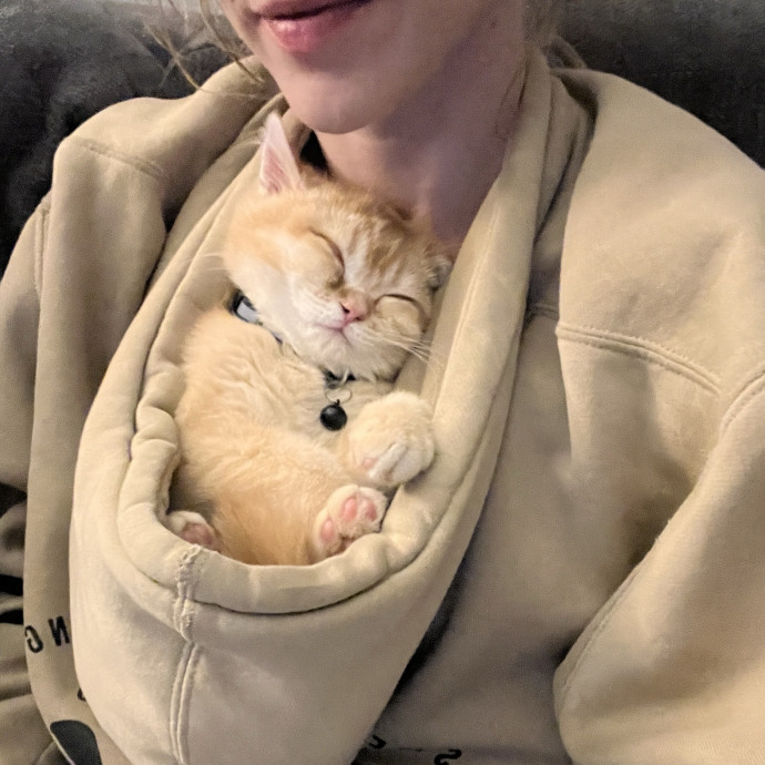 Meowvelous Cat Care