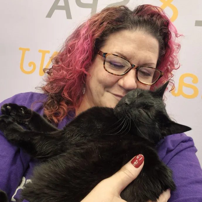 Professional Kitty Concierge