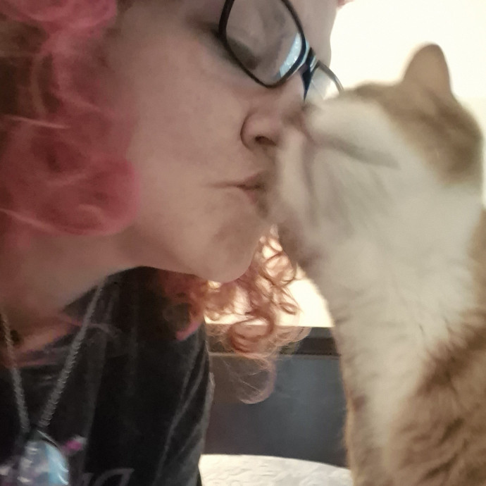 Professional Kitty Concierge photo 3