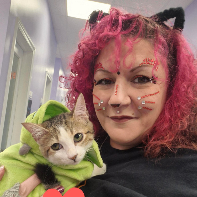 Professional Kitty Concierge photo 2