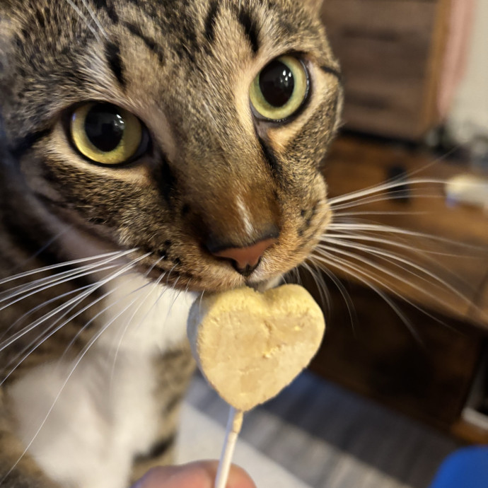 Purrfect Friends