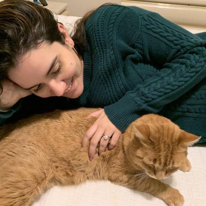 Gentle Loving Care For Every Kitty