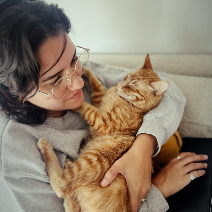 Gentle Loving Care For Every Kitty