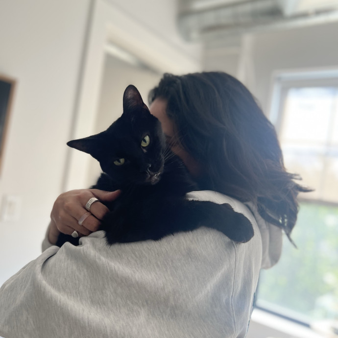 Gentle Loving Care For Every Kitty photo 3