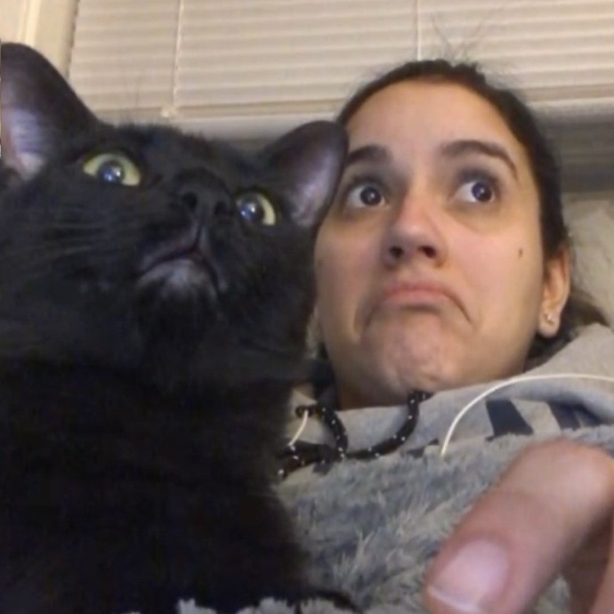 Gentle Loving Care For Every Kitty photo 2