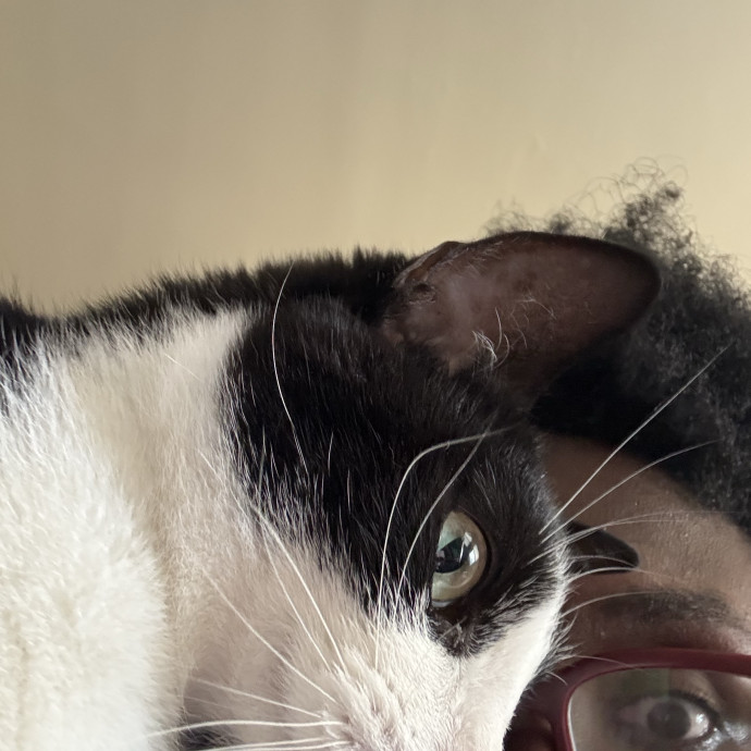 Purrfectly Loving Cat Sitter Near You