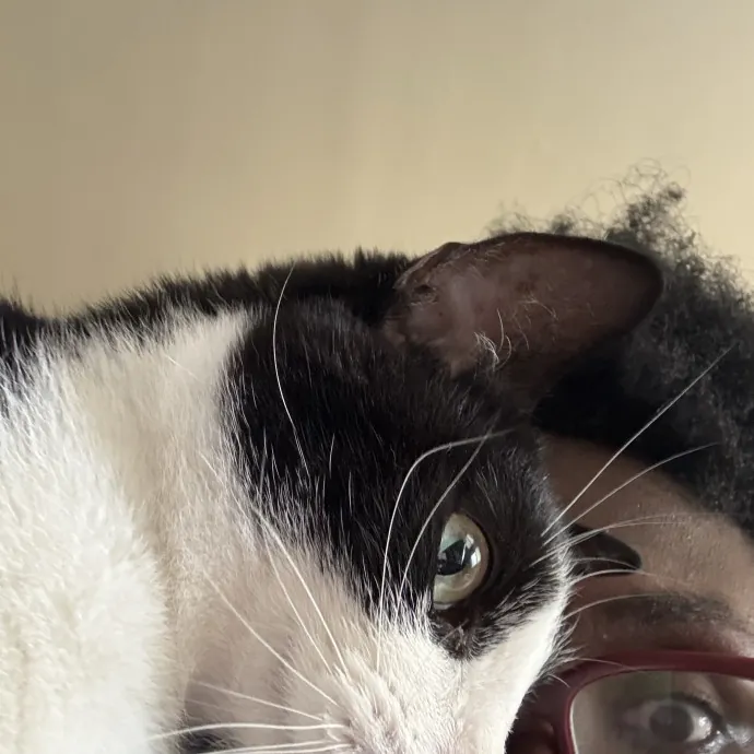 Purrfectly Loving Cat Sitter Near You