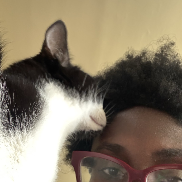 Purrfectly Loving Cat Sitter Near You