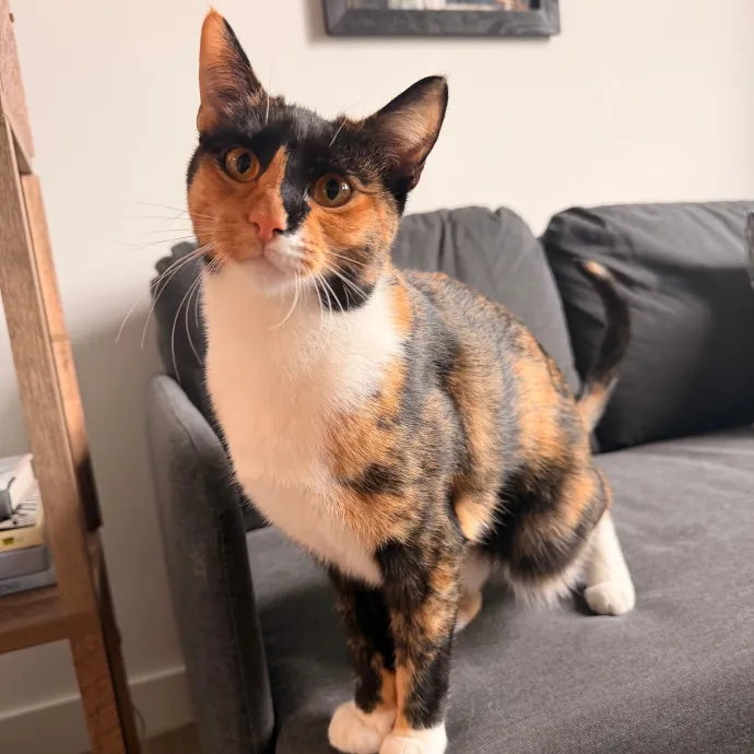 Ava B.