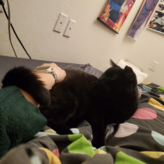 Genki Pet Care