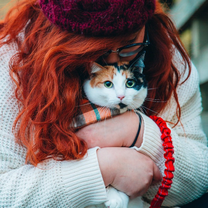 Alli Loves Cats