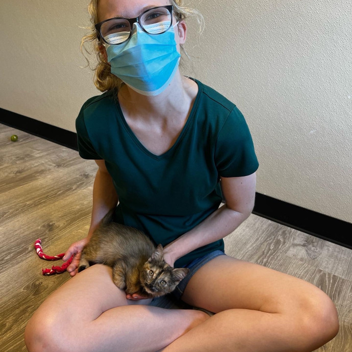 Attentive And Reliable Cat Care