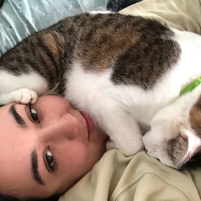 Certified Cat Cuddler