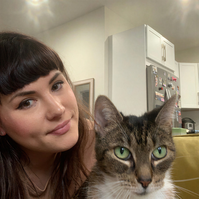 Cat Sitting By Karina - Woodside Nyc