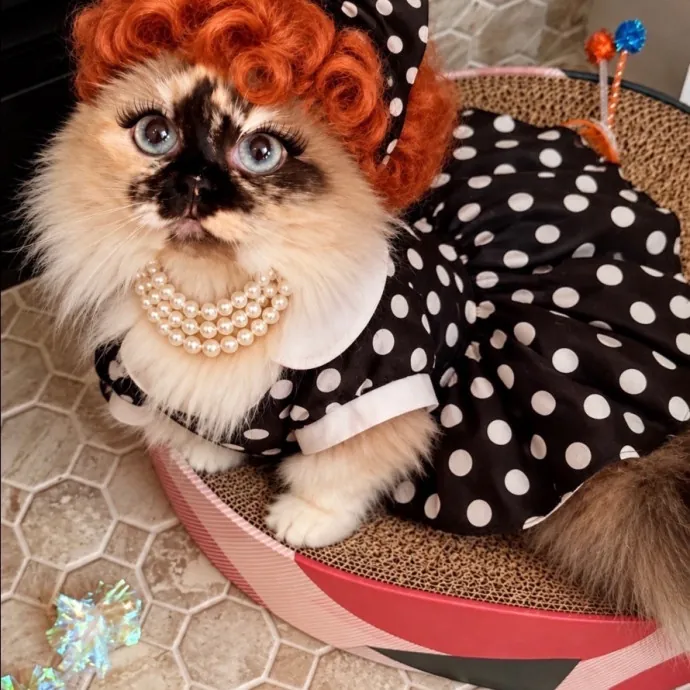 Pam L.