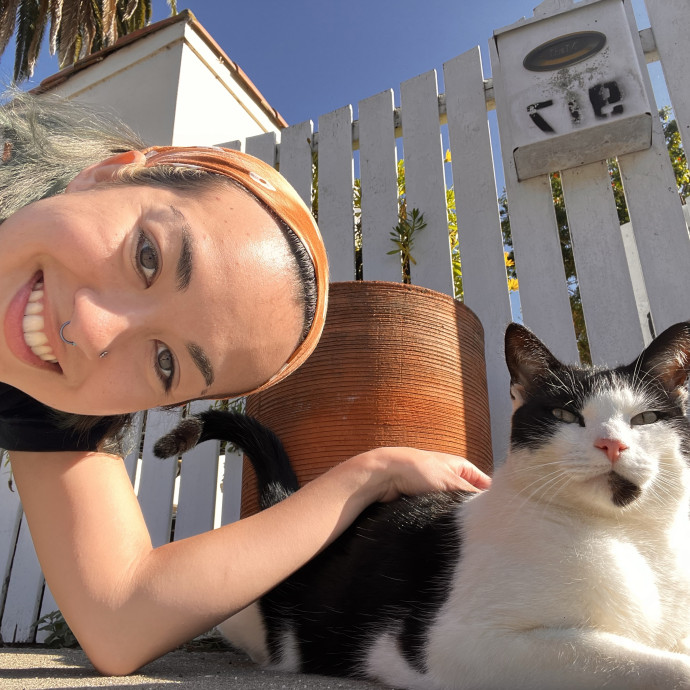 Cats Are My Friends