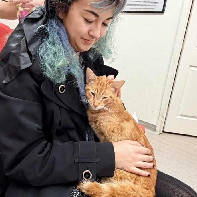 Cats Are My Friends