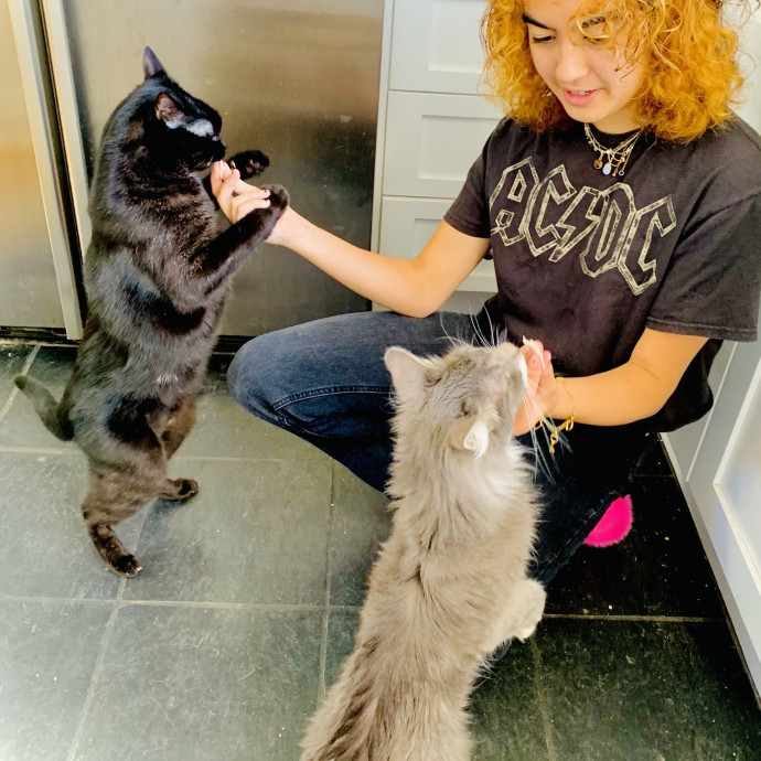 Cats Are My Friends