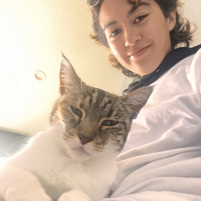 Cats Are My Friends photo 2