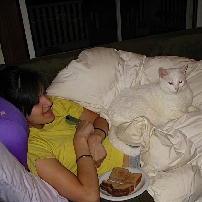 Asha's Cat-Sitting Service