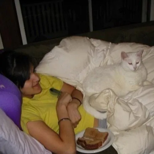 Asha's Cat-Sitting Service