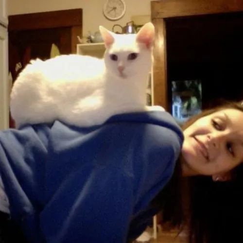 Asha's Cat-Sitting Service