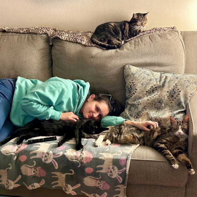 Asha's Cat-Sitting Service