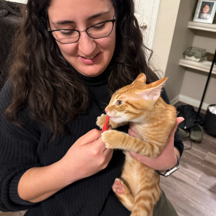 Experienced Cat Lover