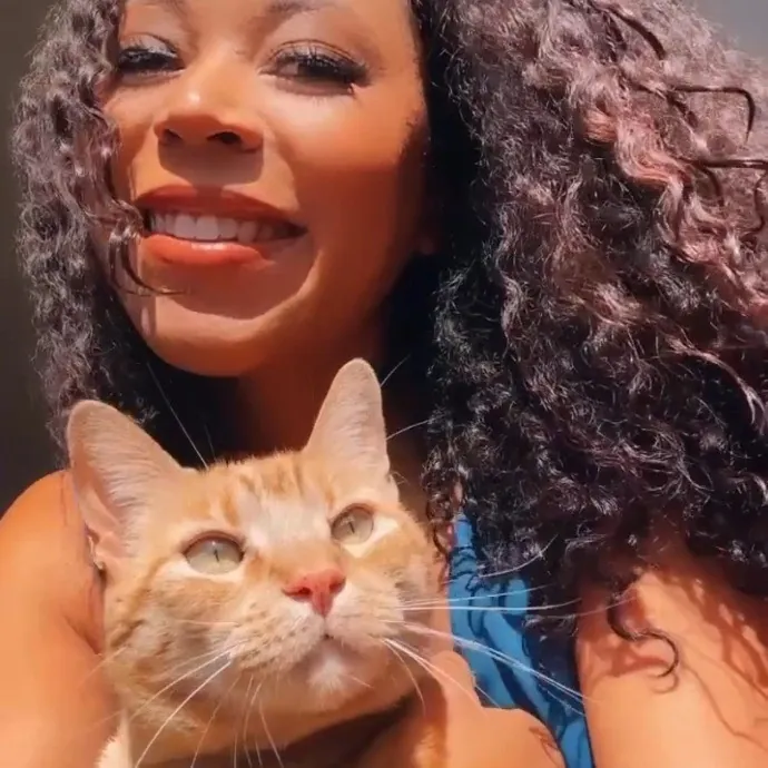 Captivating Cat Sitting