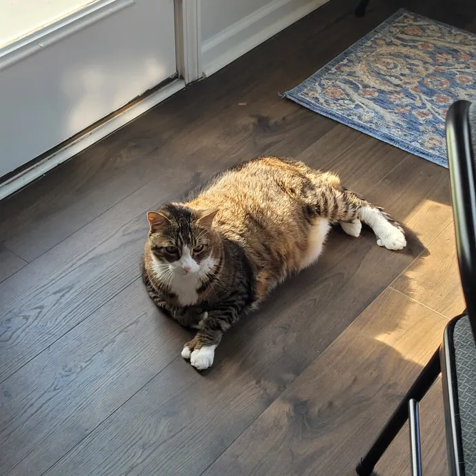 Lily E.