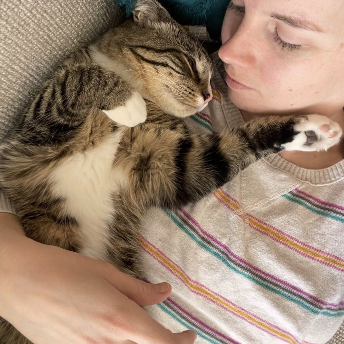 Loving Cat Sitter In Colorado
