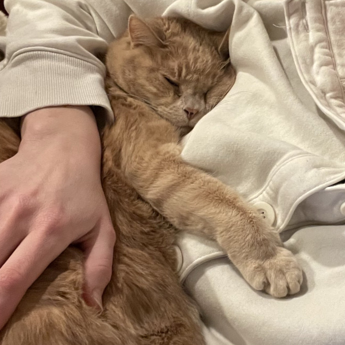Loving Cat Sitter In Colorado photo 2