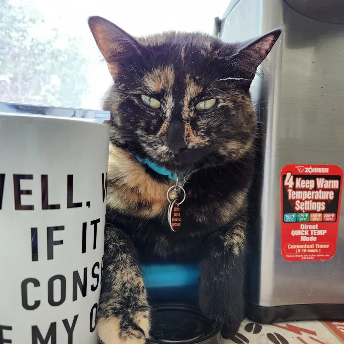 Happy Toe Beans Pet Sitting