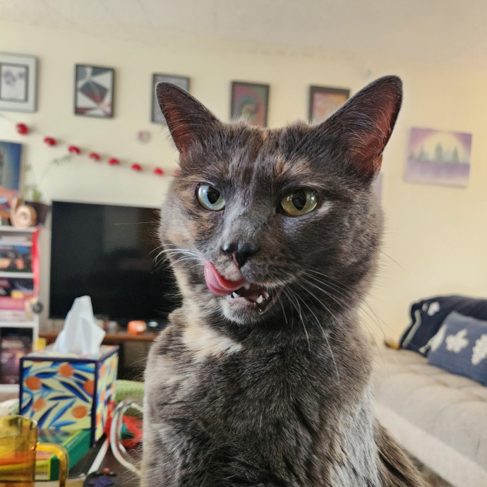 Happy Toe Beans Pet Sitting