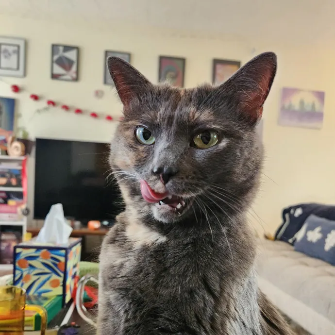 Happy Toe Beans Pet Sitting