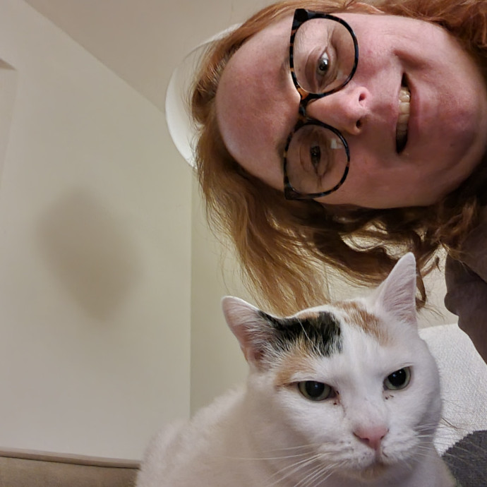Purrfect Companion For Your Kitty Friend
