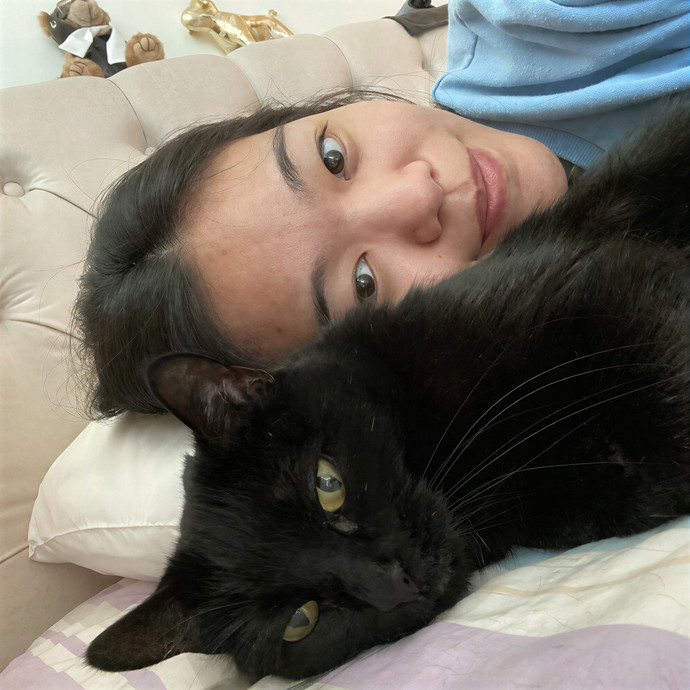 Nicole's Sf Purrfect Cat Care