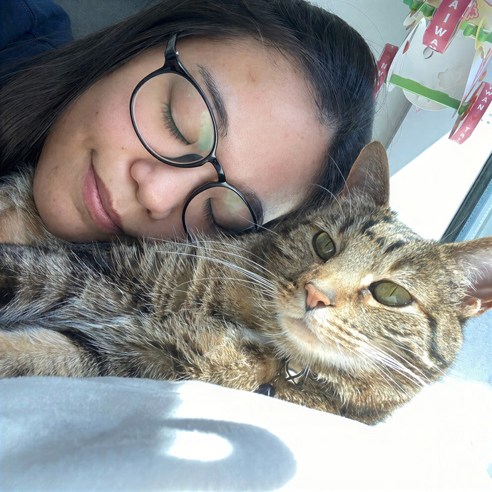 Nicole's Sf Purrfect Cat Care