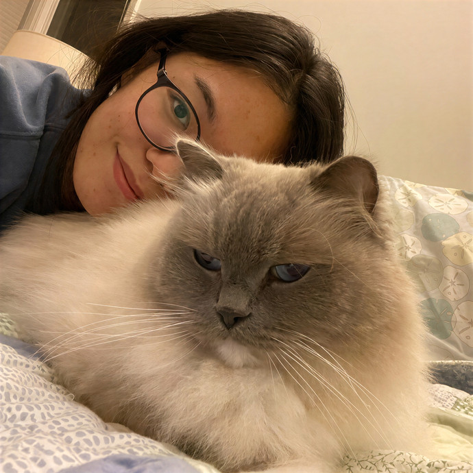 Nicole's Sf Purrfect Cat Care