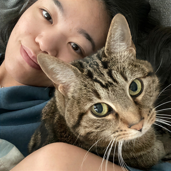 Nicole's Sf Purrfect Cat Care