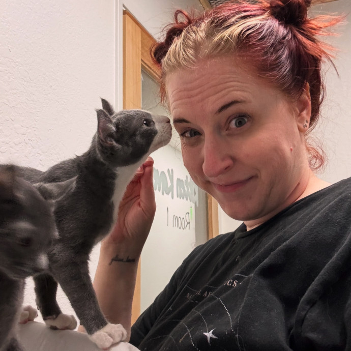 Your Kitty's New Bestie